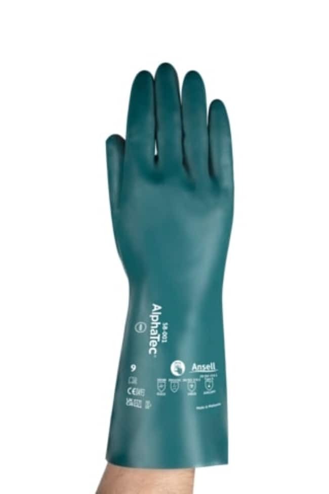 12PR AlphaTec ESD size 10 glove